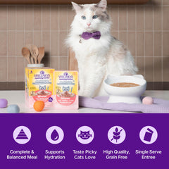 Wellness Appetizing Entrées Age Advantage mousse con salmón, textura sabrosa para felinos.