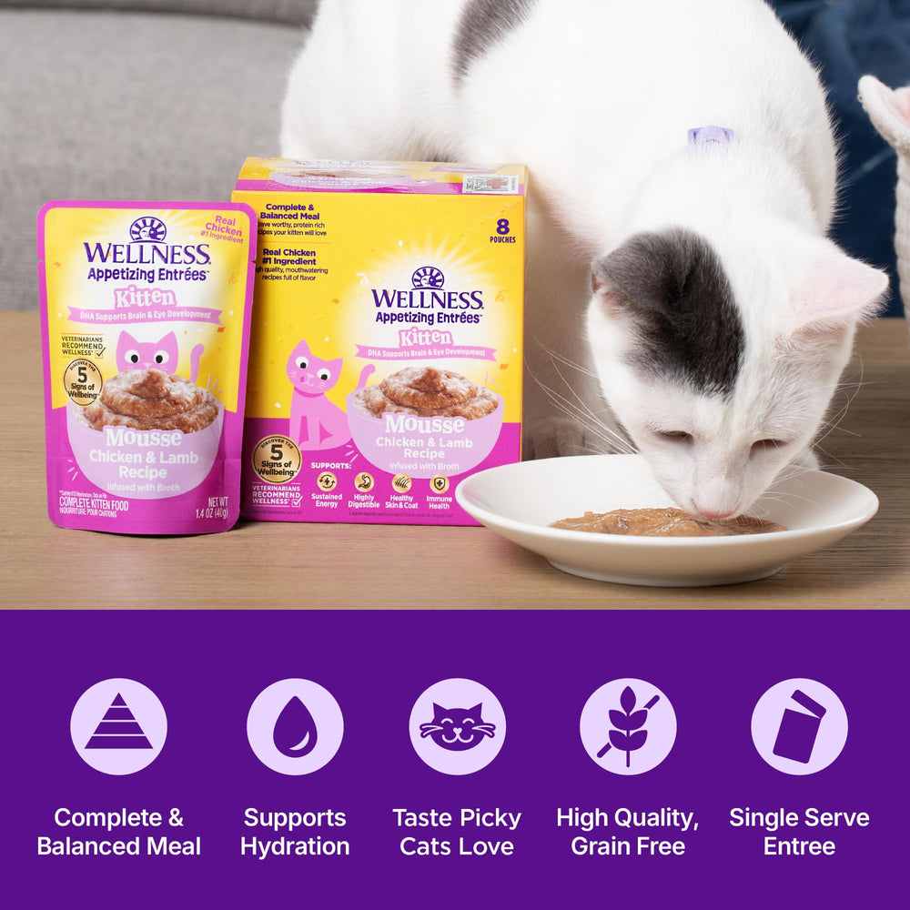Wellness Appetizing Entrées gatito mousse cordero sobre: sabor y proteína de calidad para gatitos