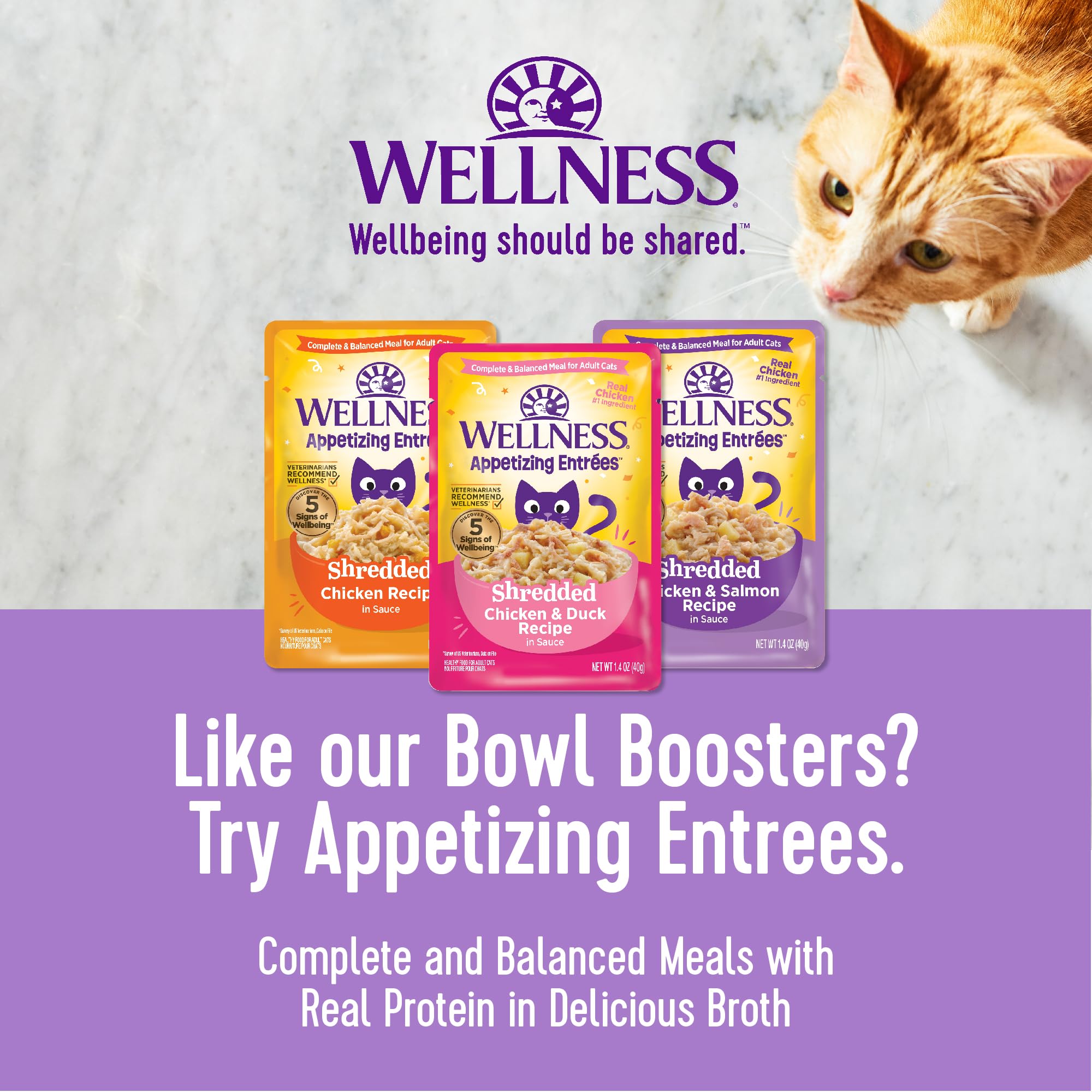Wellness Bowl Boosters envase práctico de una porción para cada comida.