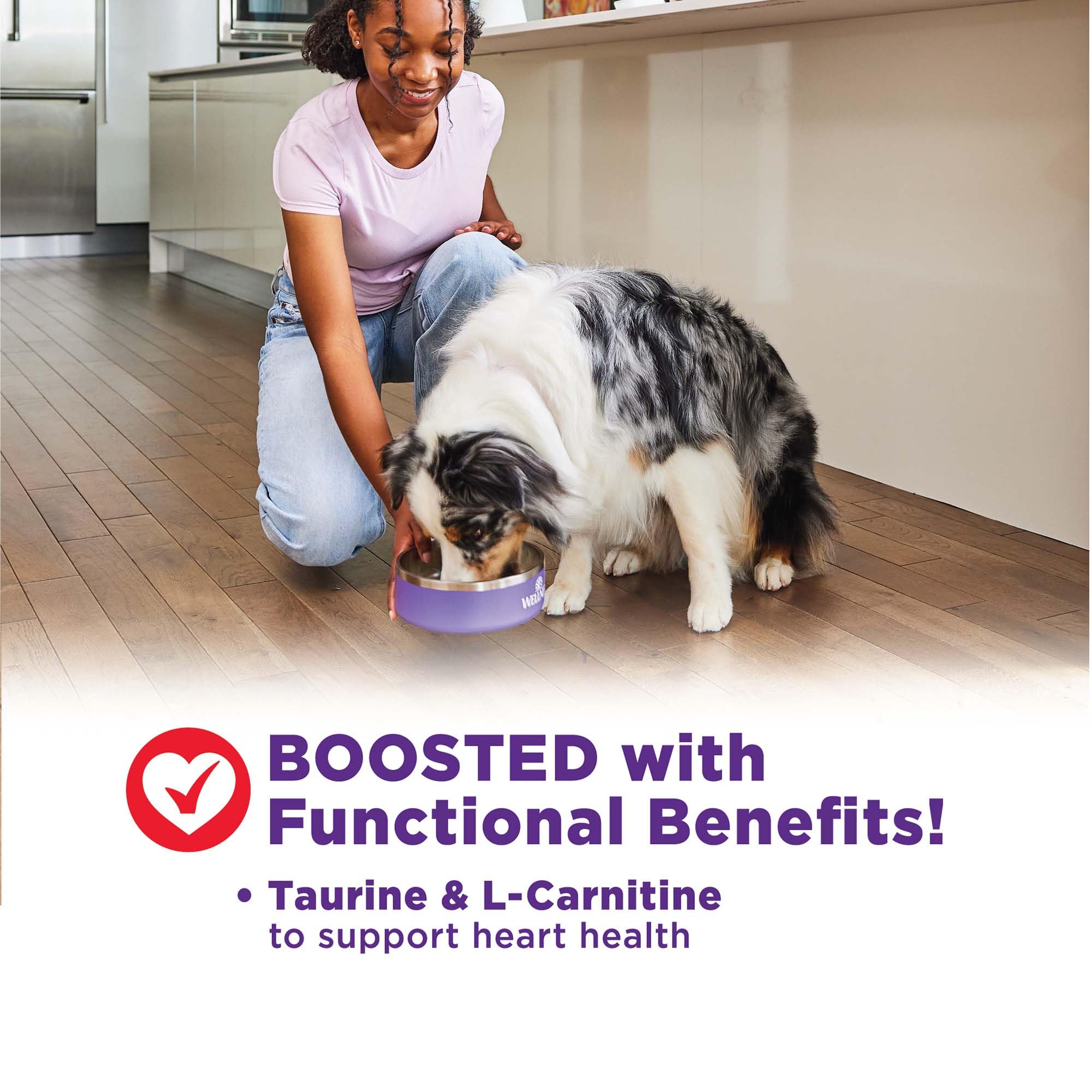 Perro pequeño disfrutando Wellness Bowl Boosters, ideal para variedad en su dieta.