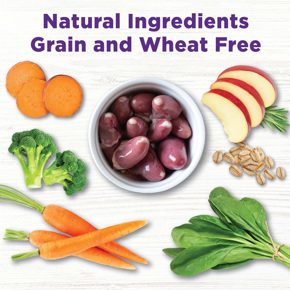 Wellness Bowl Boosters sabor y textura atractivos para perros exigentes.