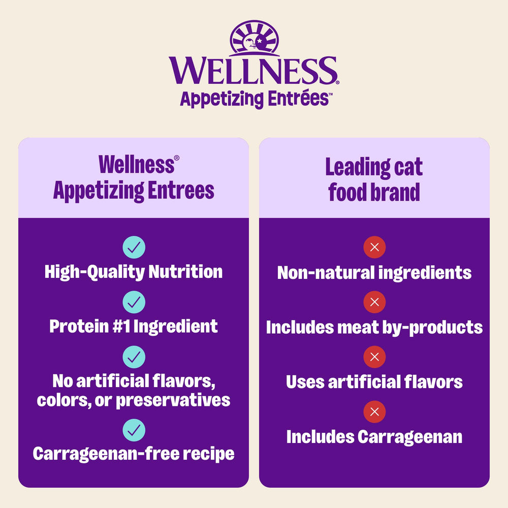 Wellness Appetizing Entrées Mousse caldo hidratante para hidratación diaria.