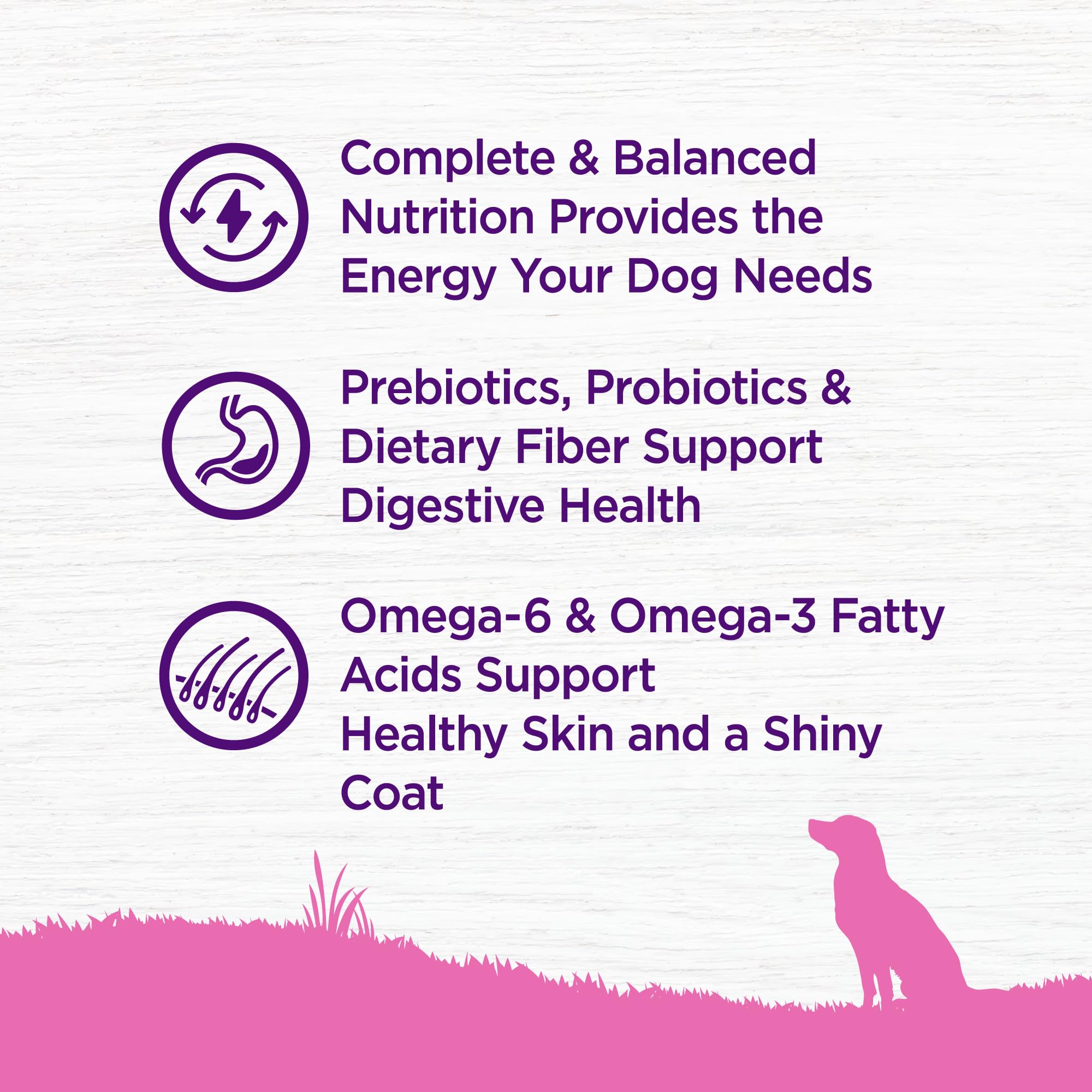 Antioxidantes y omega en Wellness Complete Health para piel y pelaje.
