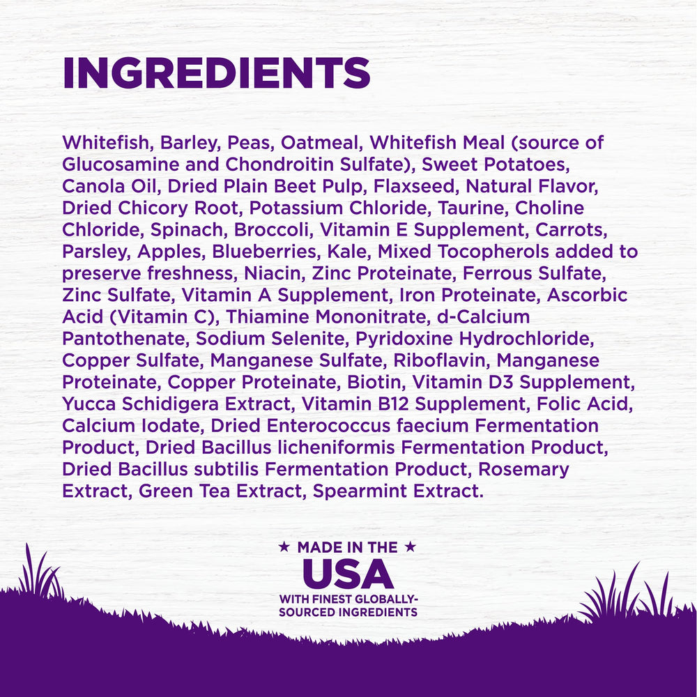 Wellness Complete Health inmunidad y piel, antioxidantes y ácidos grasos para el pelaje.