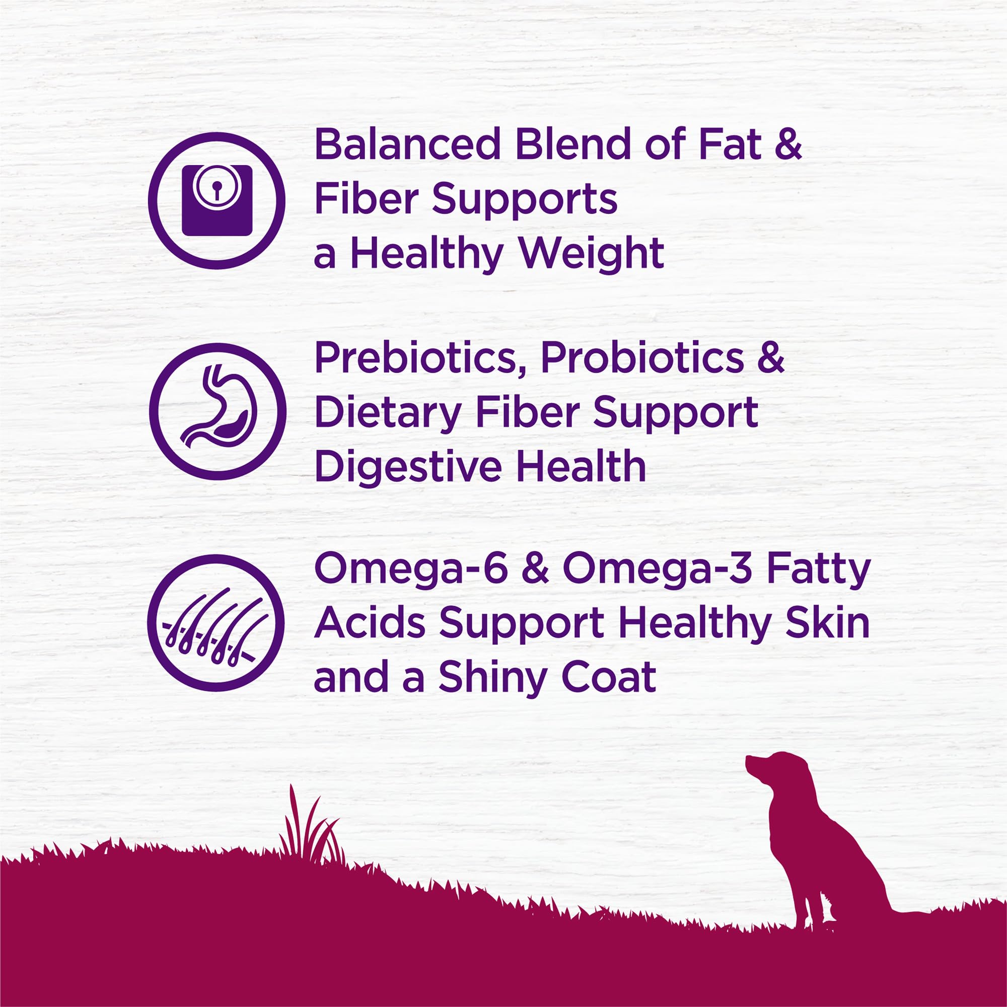 Wellness Complete Health: omega y antioxidantes para piel y pelaje saludables.