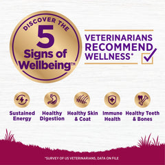 Wellness Complete Health croquetas de pavo y avena, primer plano, sabor natural.