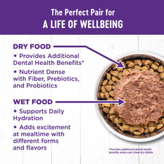 Wellness Complete Health dientes y pelaje brillantes.