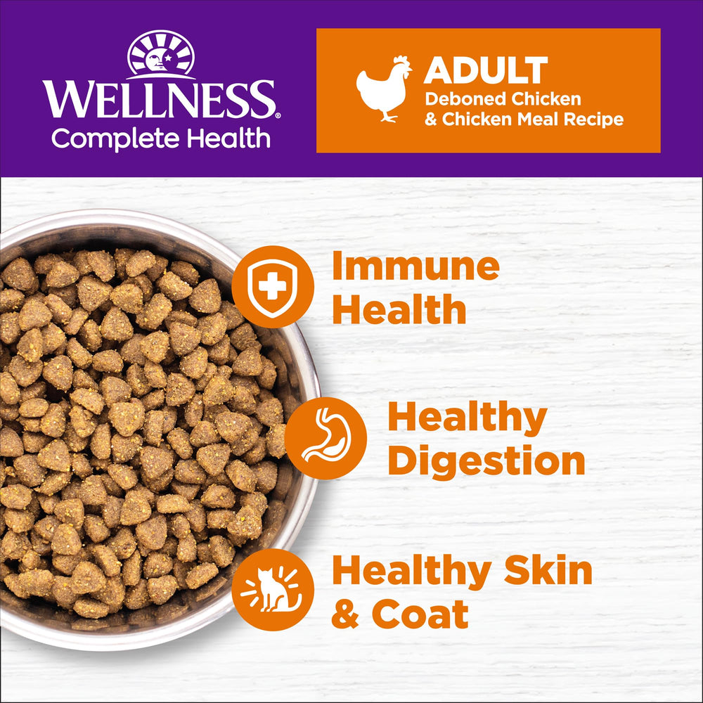 Gato en tazón con Wellness Complete Health, comida seca para energía diaria.