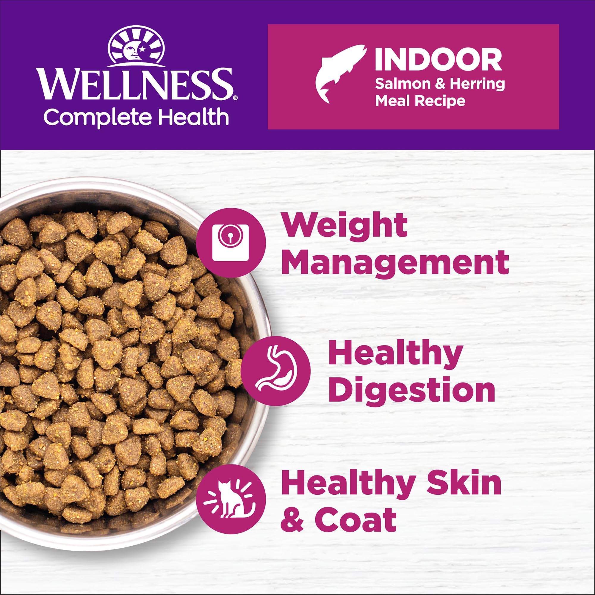 Wellness Complete Health gato interior en tazón, comida seca de calidad.
