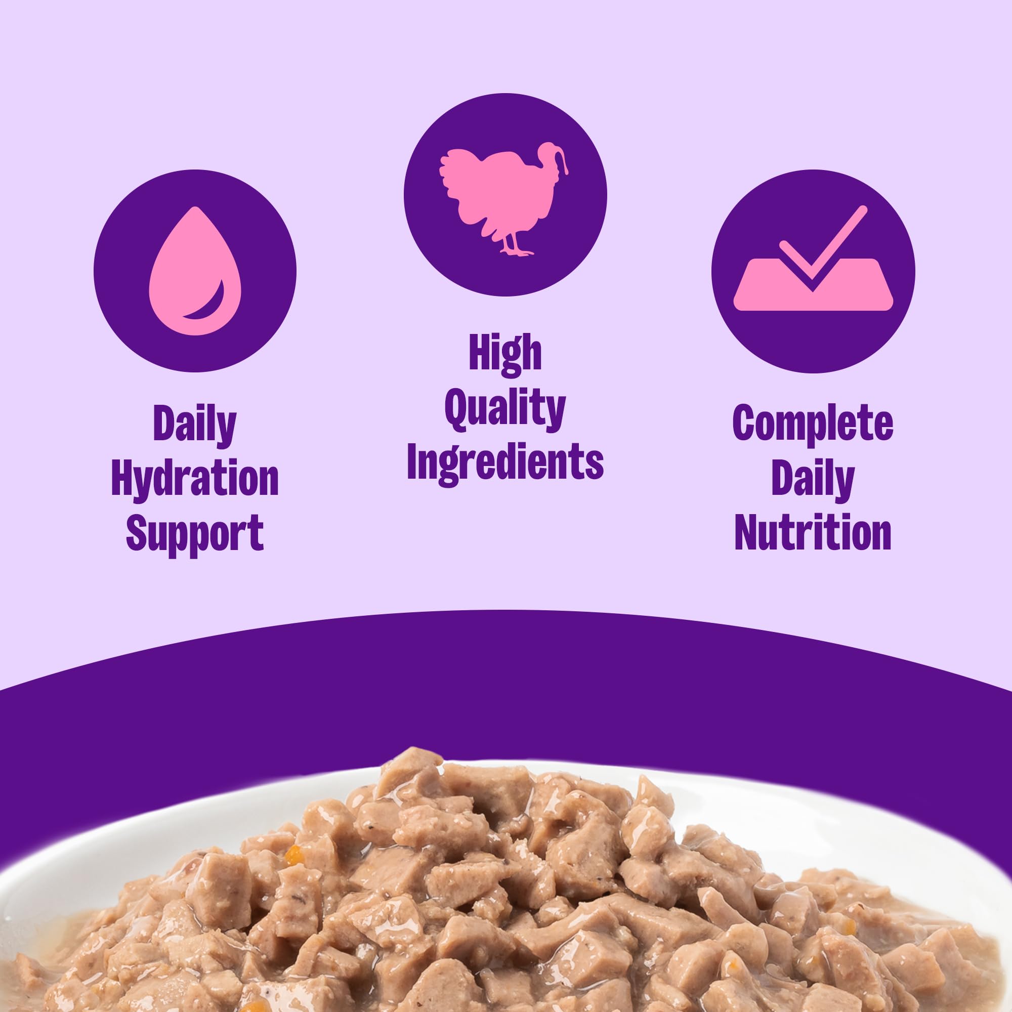 Wellness Complete Health Gravy, lata pavo, sabor sabroso para gatos.
