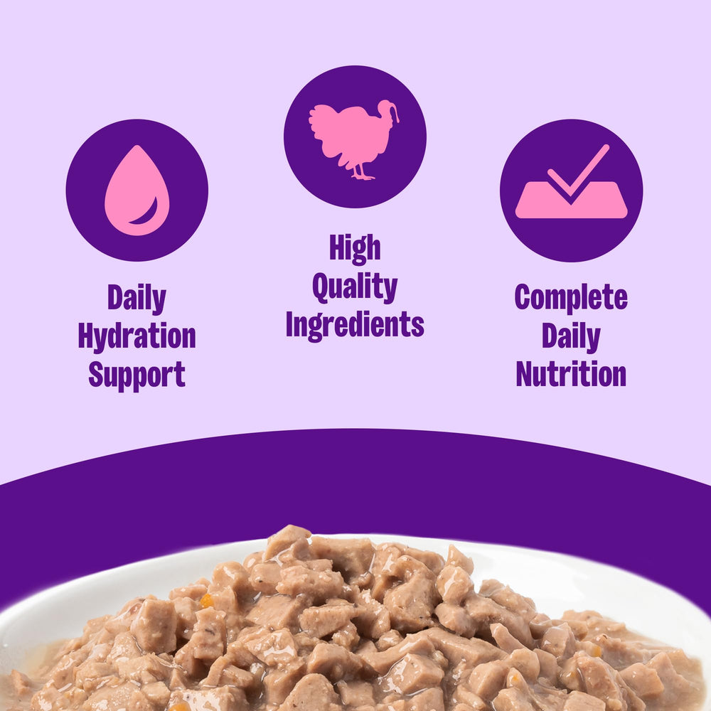 Wellness Complete Health Gravy, lata pavo, sabor sabroso para gatos.