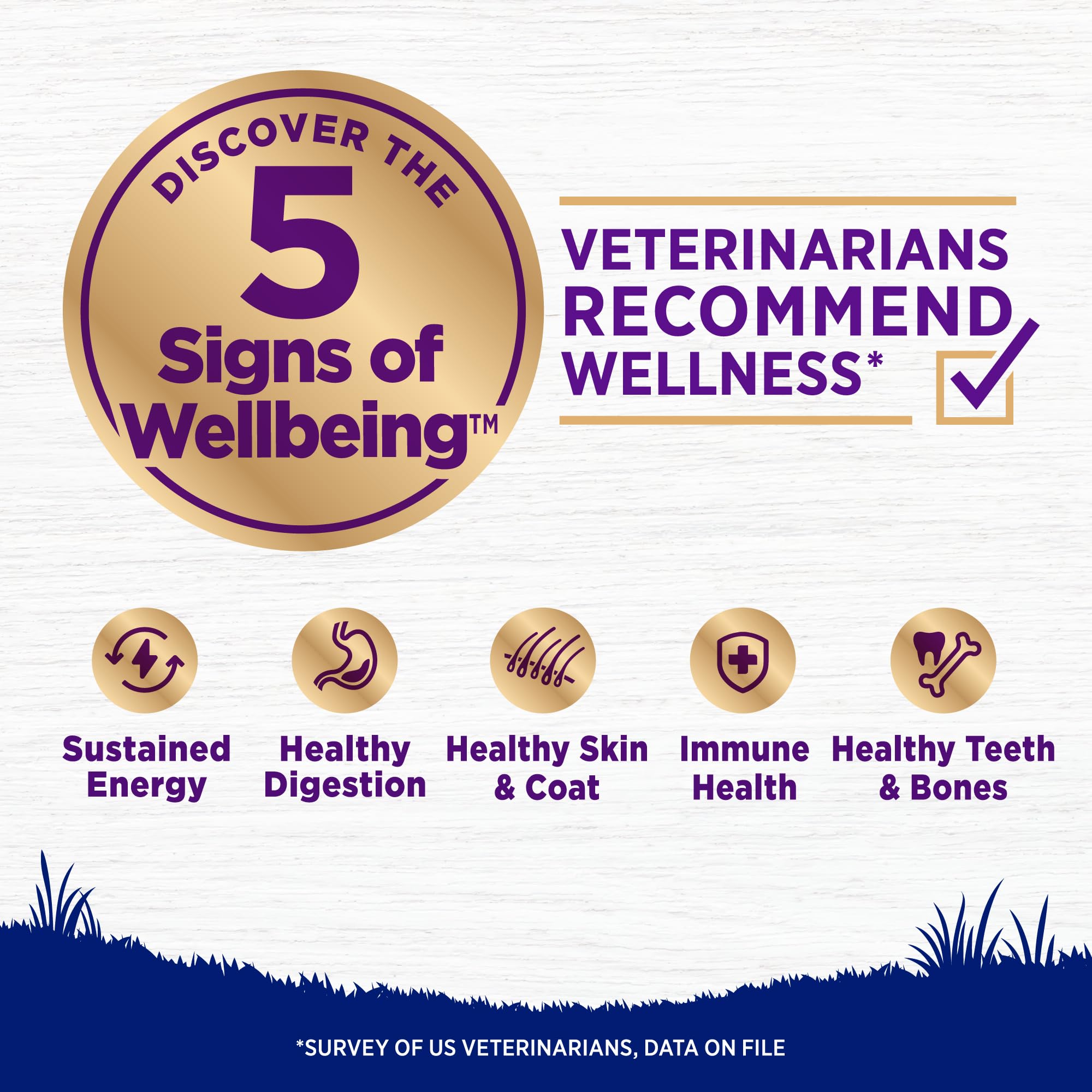 Wellness Complete Health croquetas crujientes de pollo-arroz, sabroso para perros