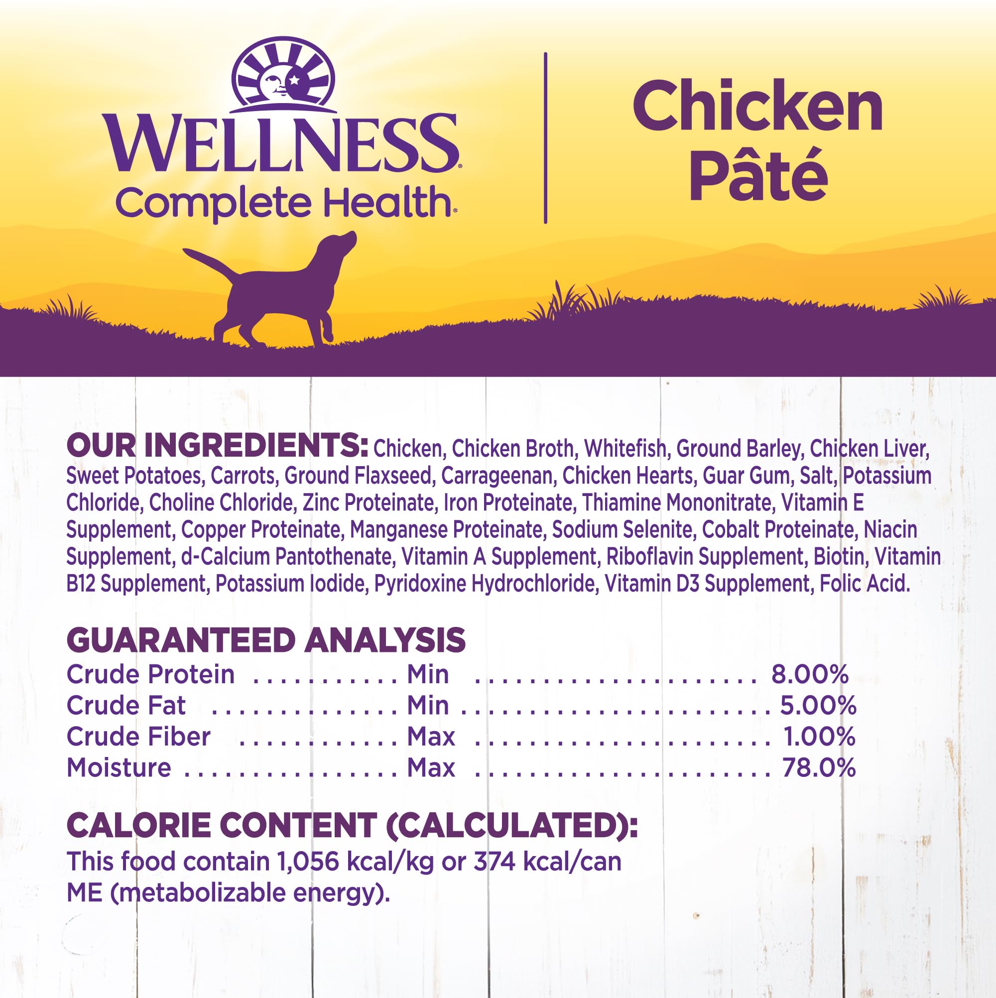 Apoya piel y pelaje con omega en la fórmula Wellness Complete Health.