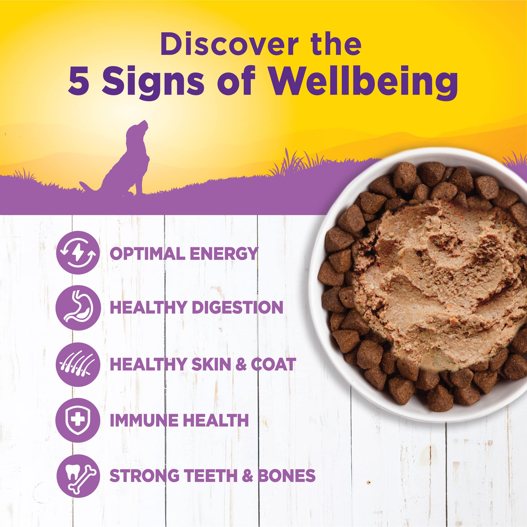 Wellness Complete Health lata perro piel-brillo, apoyo para una piel y pelaje saludables