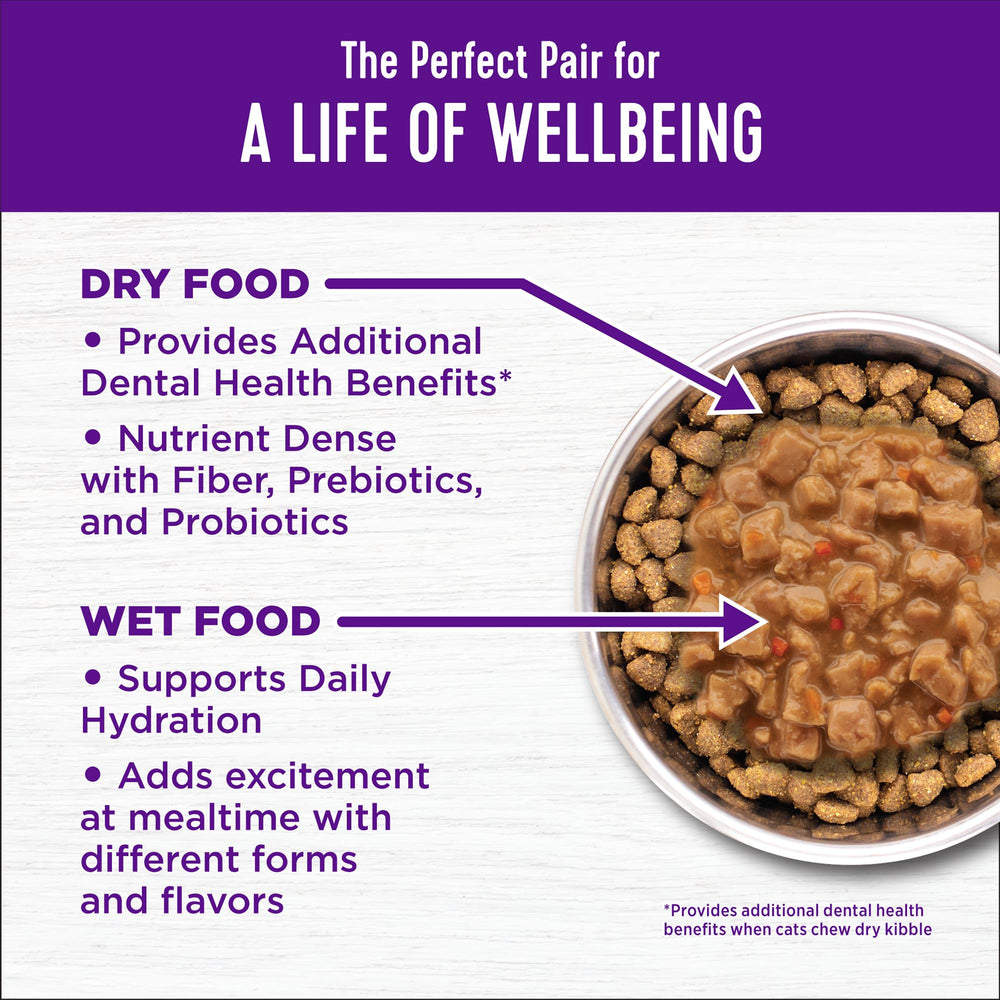 Wellness Complete Health: para gatos interiores y exteriores, energía para el juego