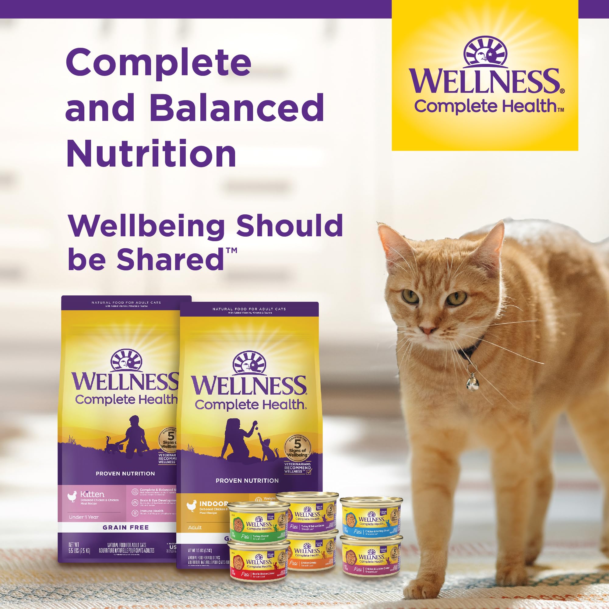 Wellness Complete Health Pate Kitten nutrición completa: bienestar diario para gatitos
