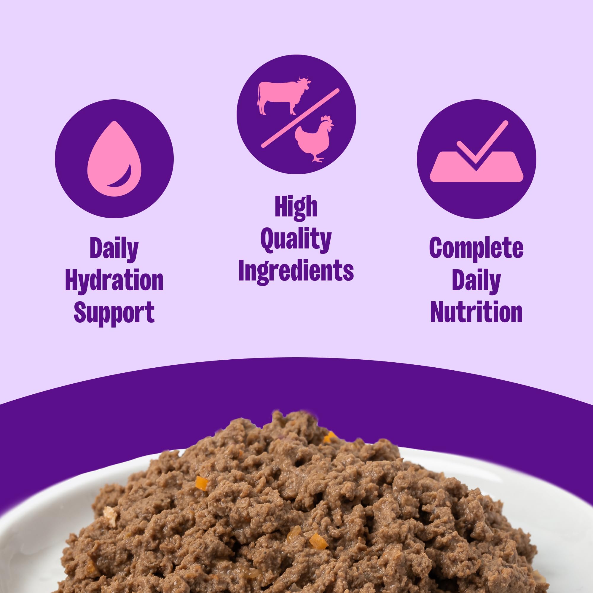 Wellness Complete Health Pate de res y pollo, textura cremosa en plato para gatos.
