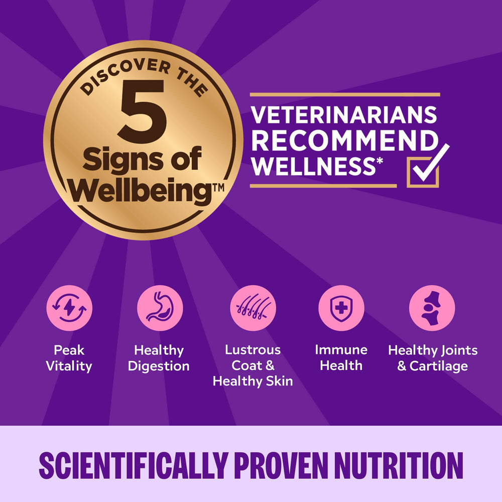Textura suave de paté Wellness, ideal para gatos exigentes.