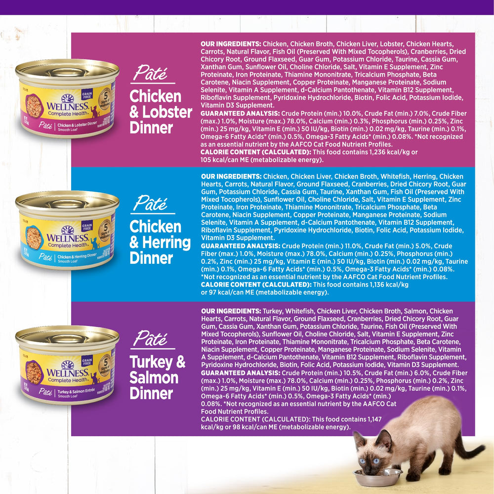 Paté de Wellness con pavo y salmón, combinación suave y nutritiva para gatos.