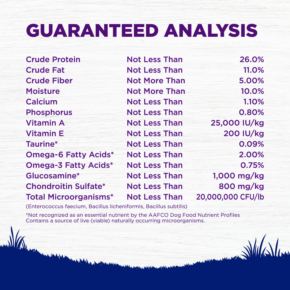 Wellness Complete Health perro comiendo kibble en cuenco