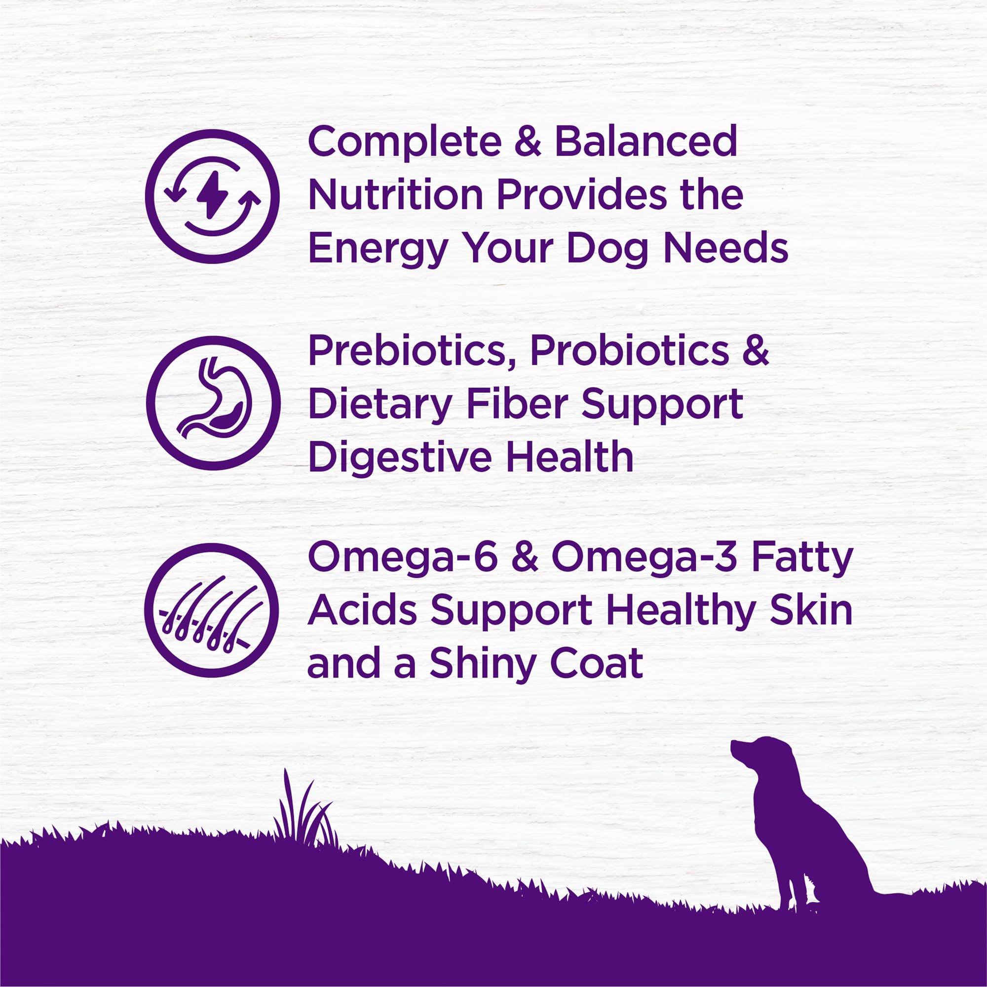 Wellness Complete Health antioxidantes y vitaminas para ojos y dientes saludables.