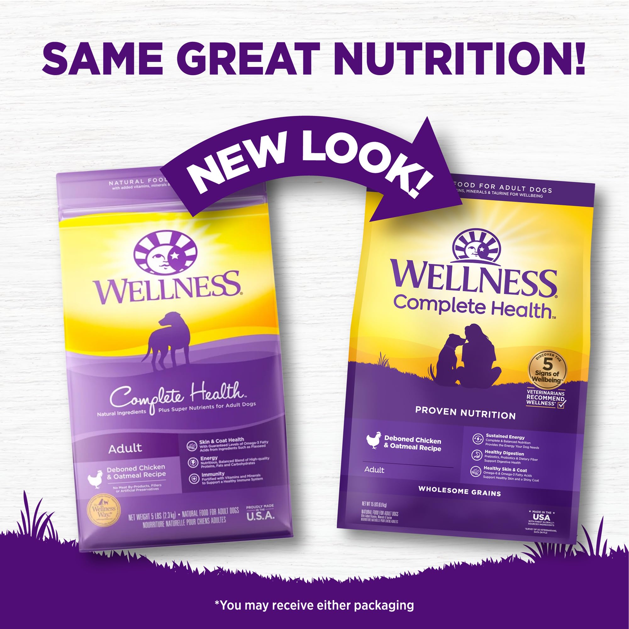 Wellness Complete Health, etiqueta nutricional destacando omega-3 para piel y pelaje.