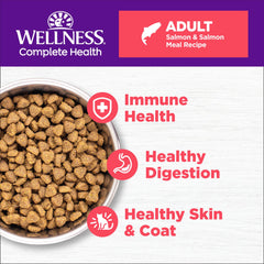 Wellness: primer ingrediente es salmón, sabor real para el gato.