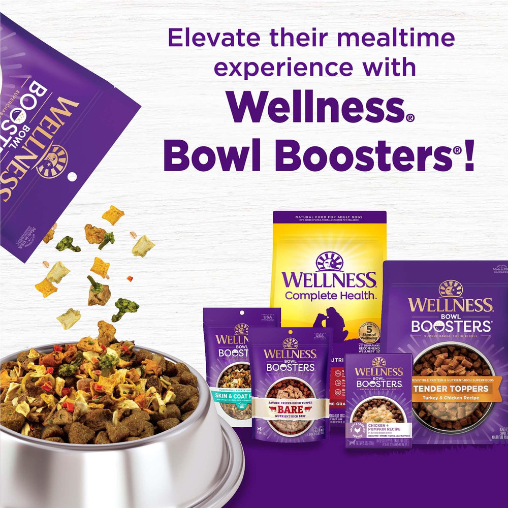 Wellness Complete Health: fórmula alta en proteína de pollo para perros adultos