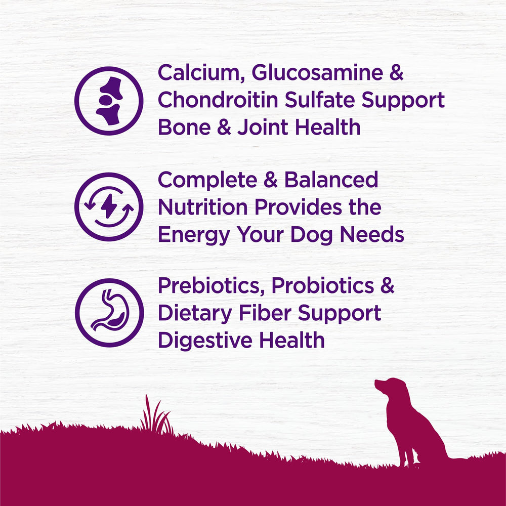 Comida Wellness Complete Health sin maíz para perros senior.