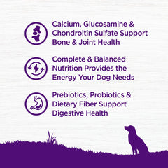 Wellness Complete Health Senior: apoyo digestivo con probióticos y fibra para perros mayores