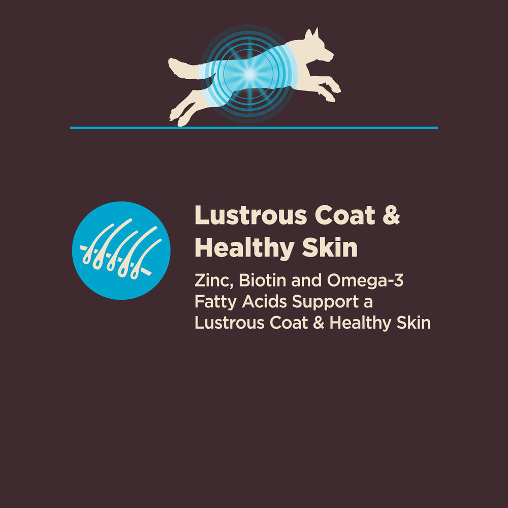 Wellness CORE Probióticos garantizados para la salud intestinal