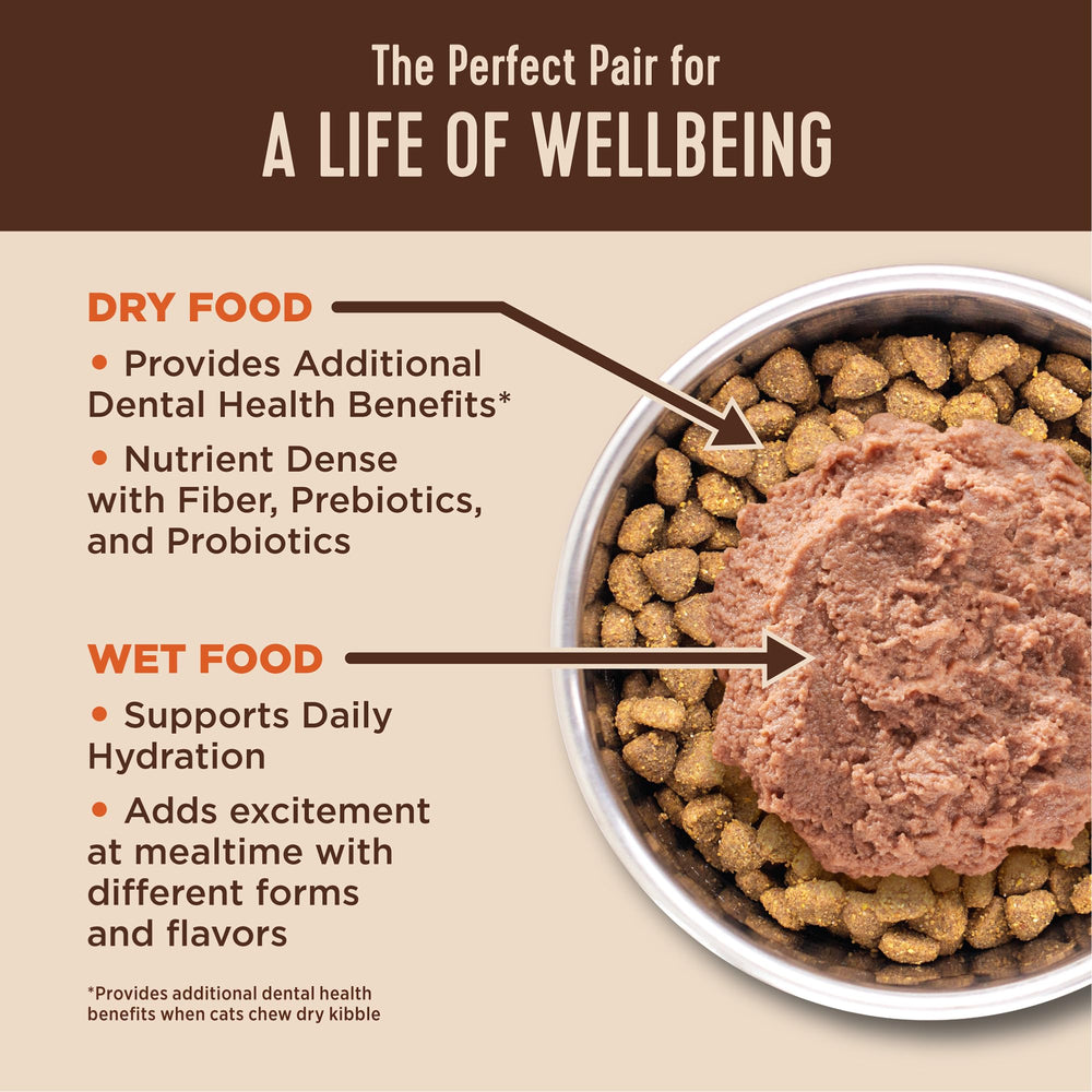 Wellness CORE+ Alimento seco para gatos, favorece digestión saludable y movimiento de pelos.