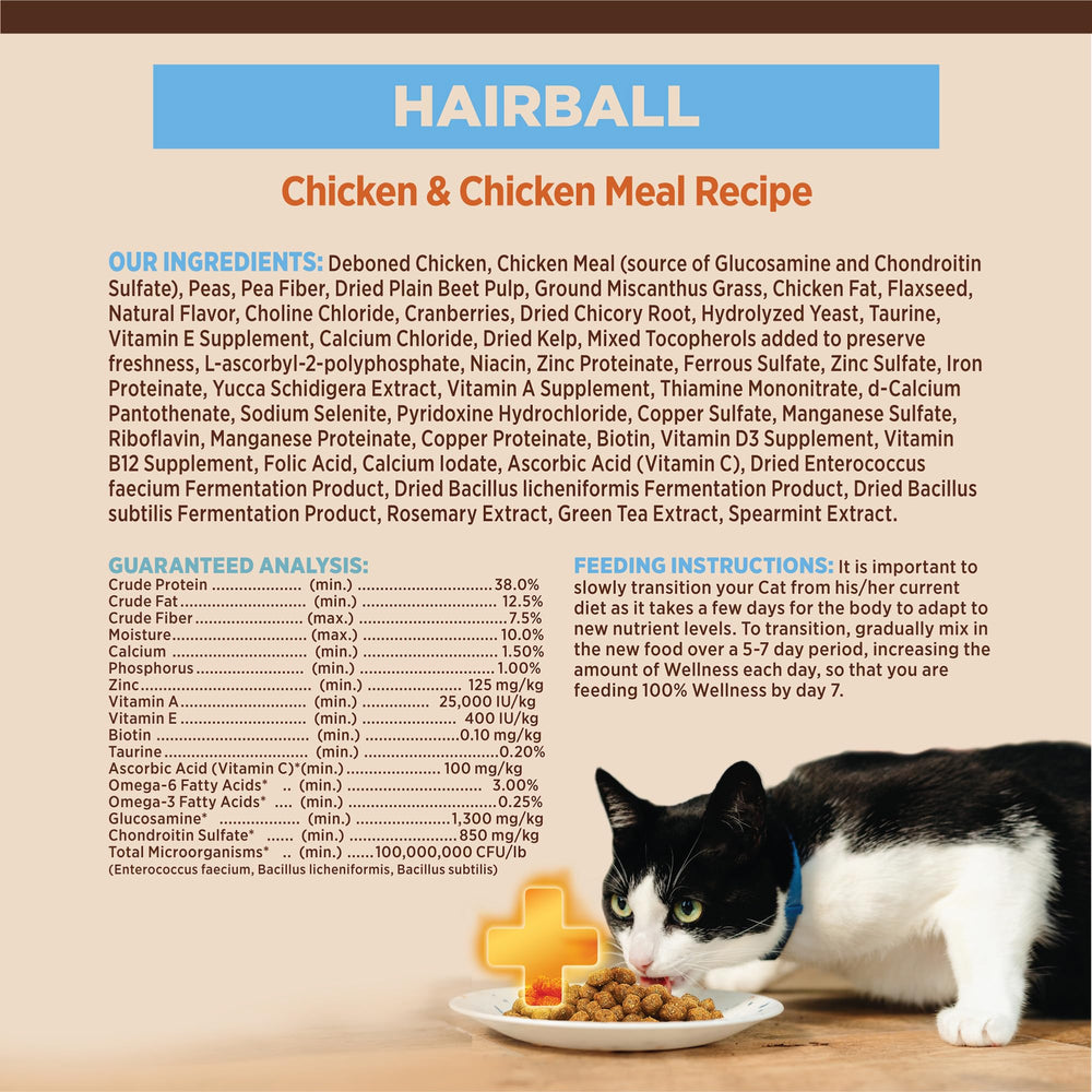 Wellness CORE+ Alimento seco para gatos, ingredientes naturales visibles.
