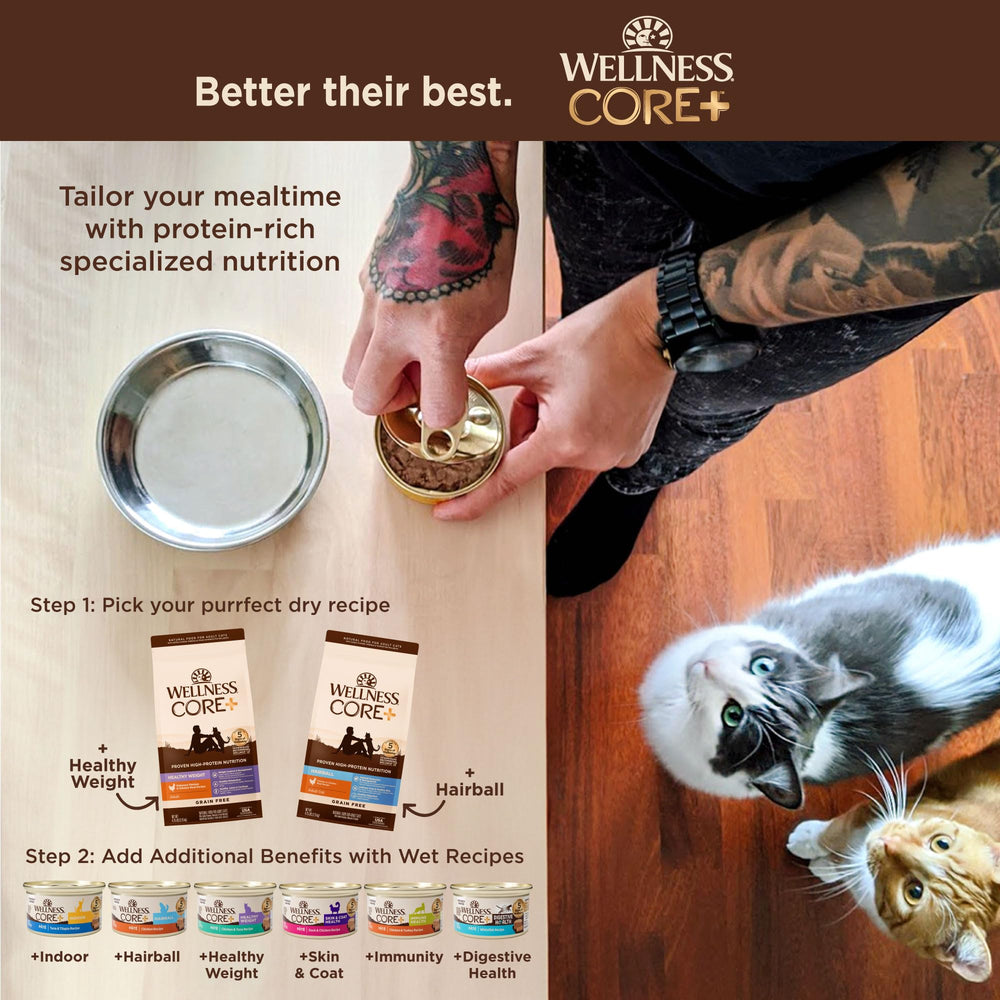 Wellness CORE+ Alimento seco para gatos, sin conservantes artificiales.