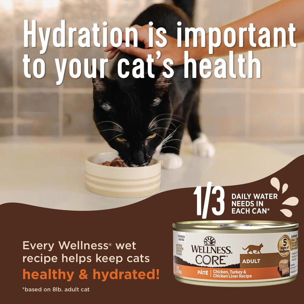 Lata de Wellness CORE Digestive Health Pate de pavo, textura suave para gatos.