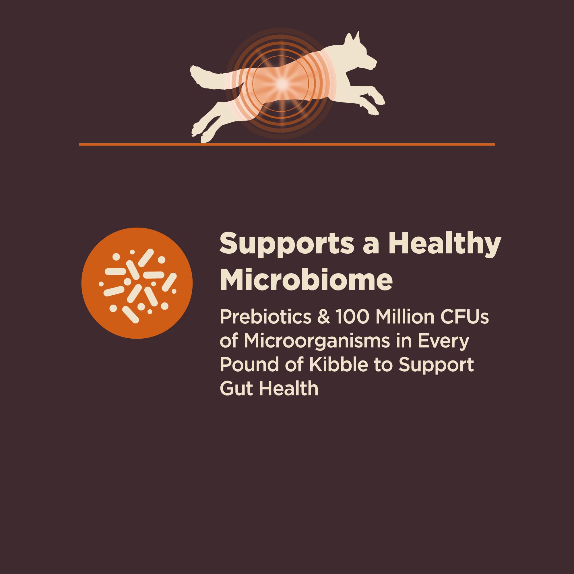 Wellness CORE Digestive Health: probióticos y prebióticos para microbioma equilibrado.