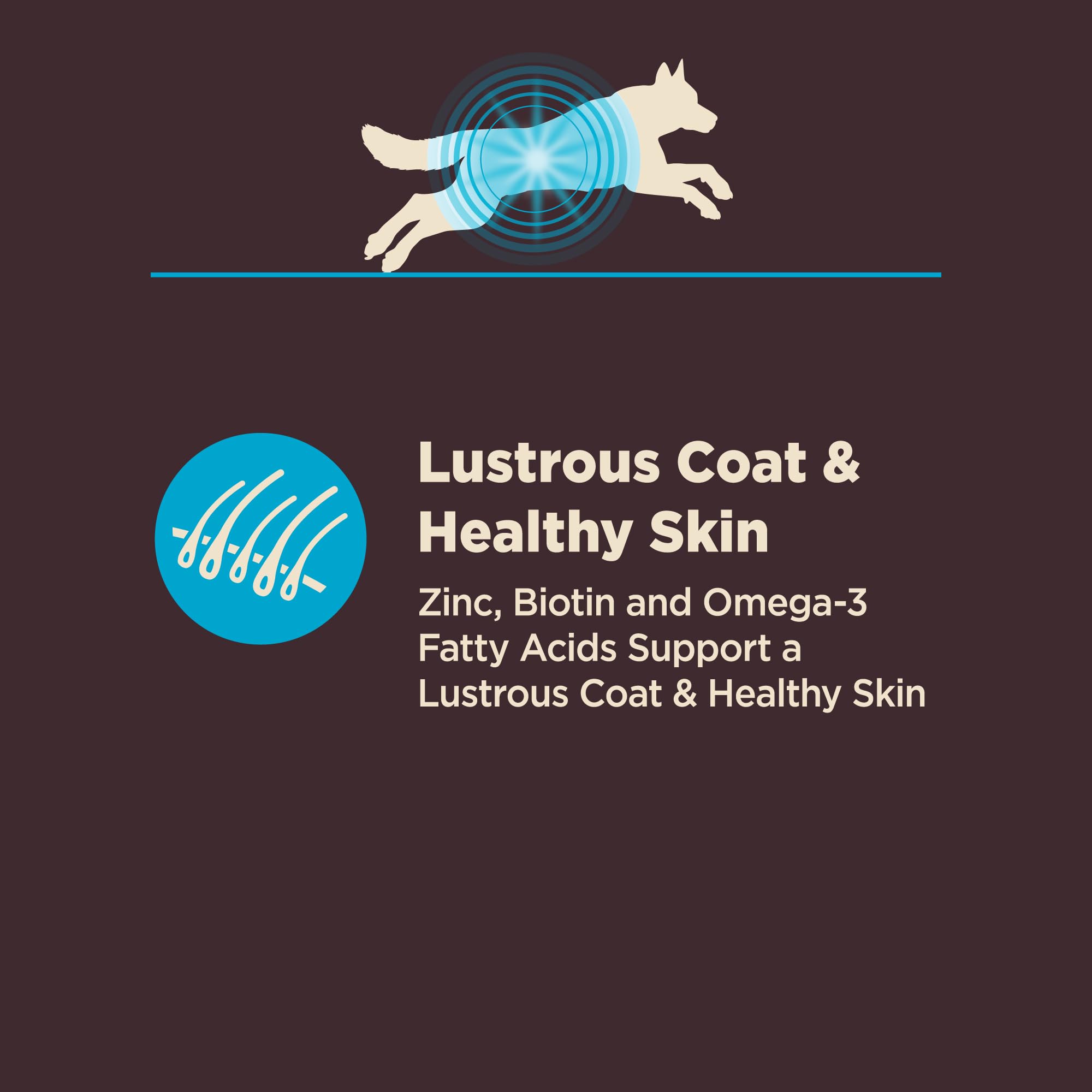 Wellness CORE Salud Digestiva sin pollo, opción apta para estómagos sensibles de perros.