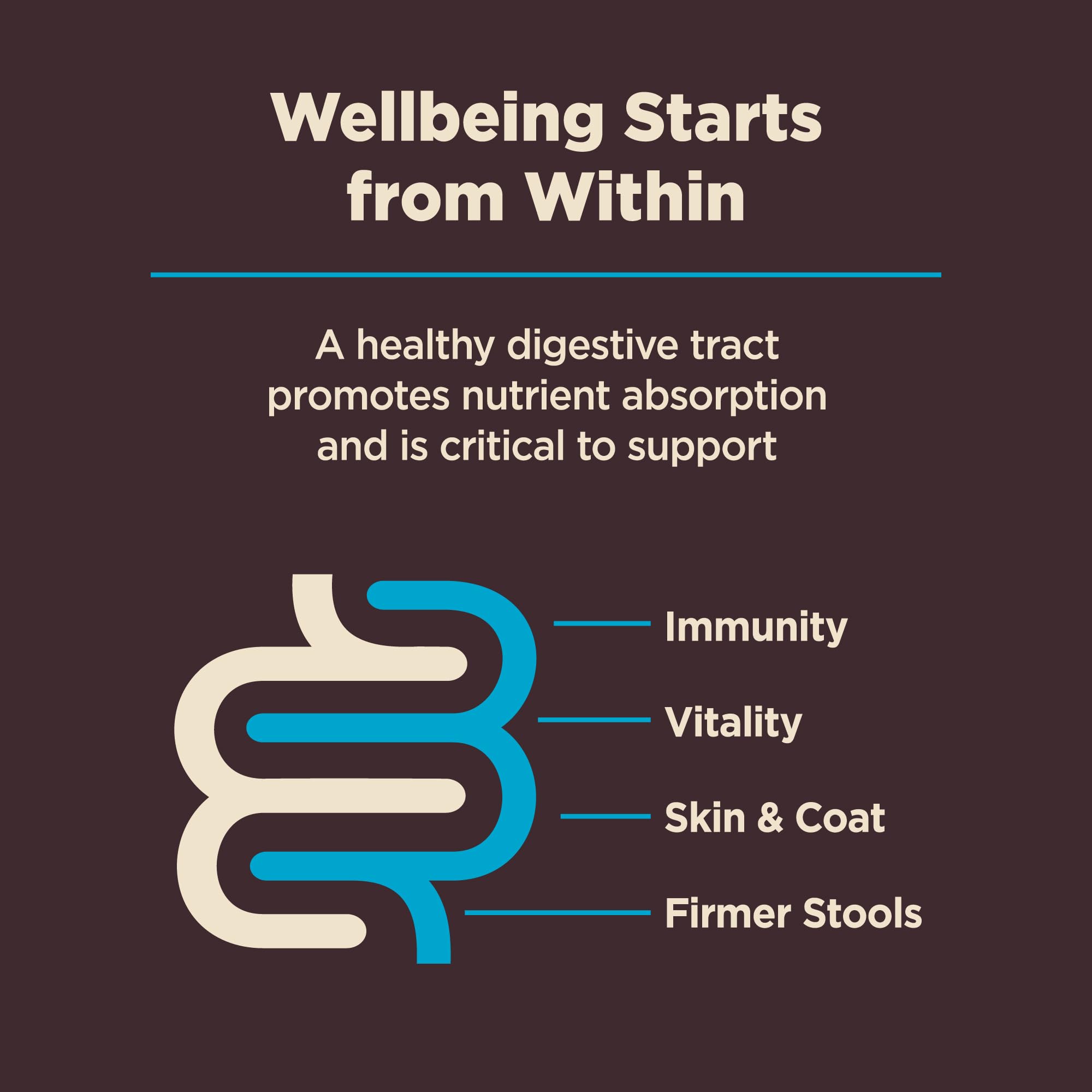 Wellness CORE Salud Digestiva apoya un microbioma saludable y un sistema inmunitario equilibrado.