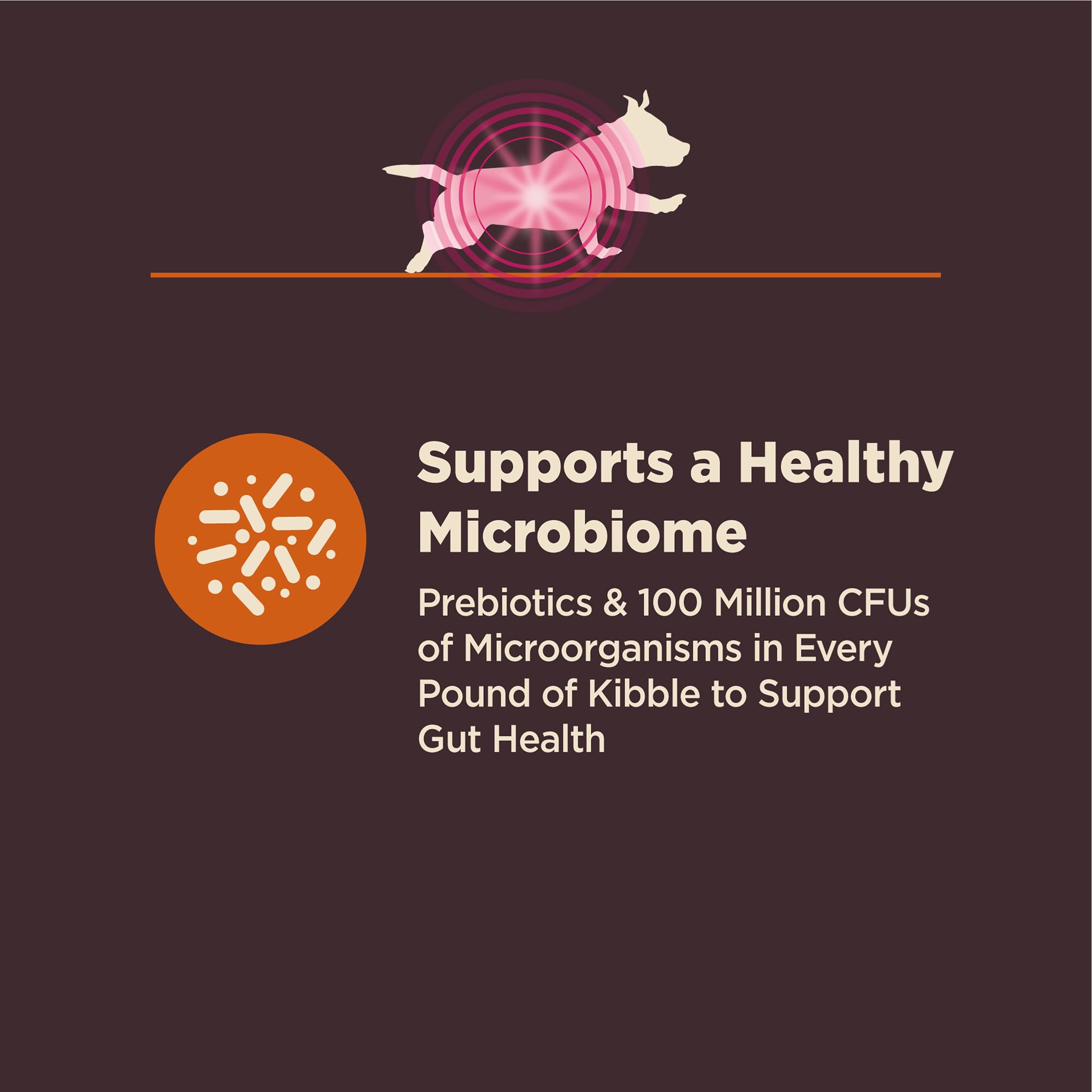 Wellness CORE Digestive Health apoya el sistema inmunitario y microbioma