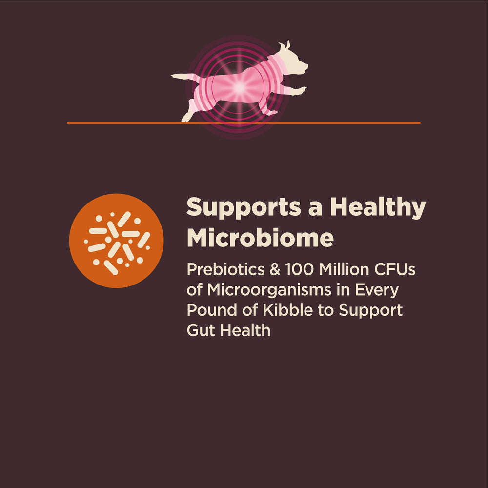 Wellness CORE Digestive Health apoya el sistema inmunitario y microbioma