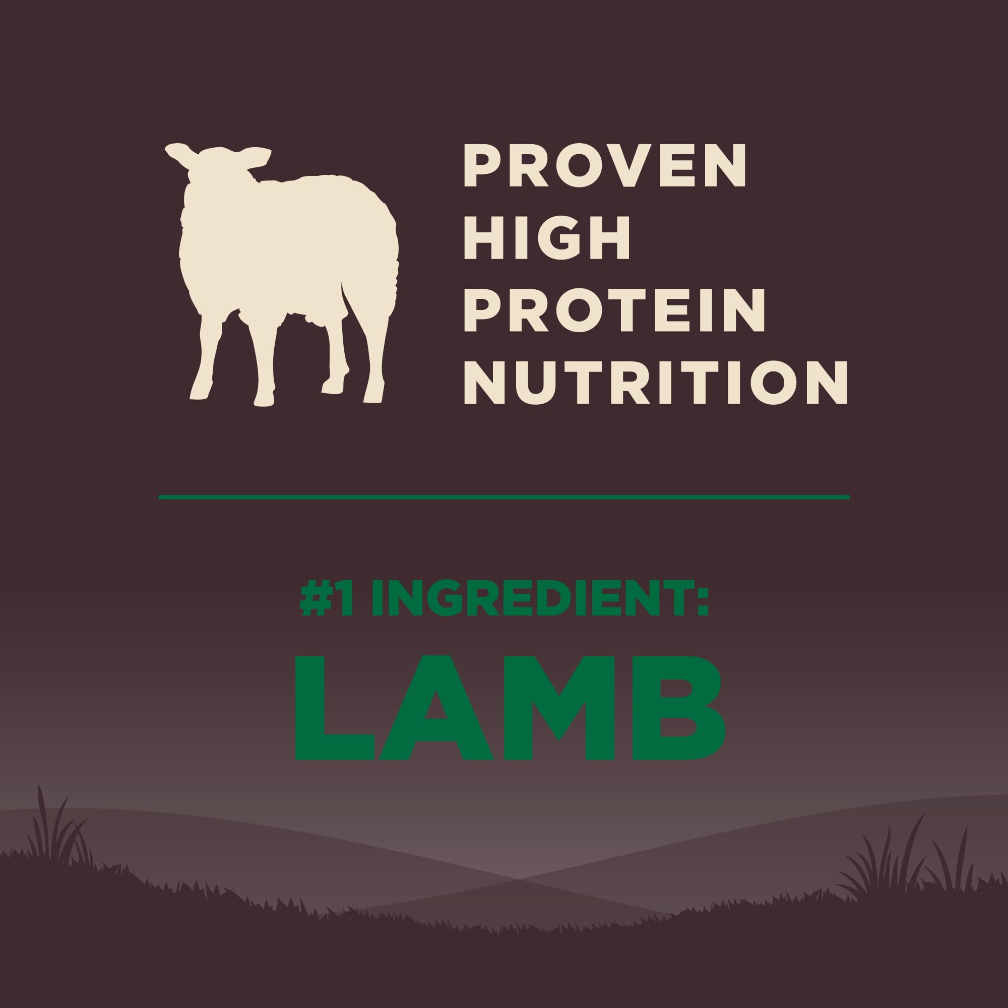 Wellness CORE probióticos para digestión suave en perros adultos