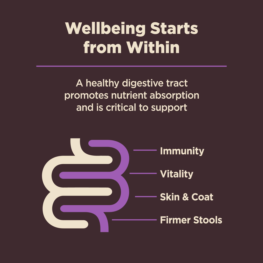 Wellness CORE Digestive Health, fabricación en Estados Unidos con ingredientes de calidad