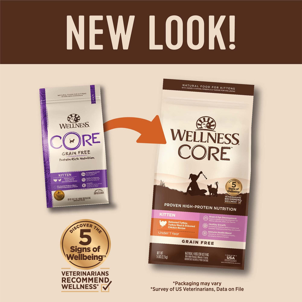 Wellness CORE gato juvenil: DHA de salmón para desarrollo cerebral