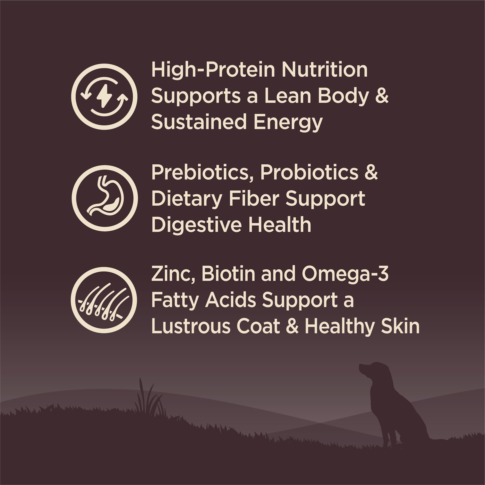 Wellness CORE glucosamina y condroitina para articulaciones saludables