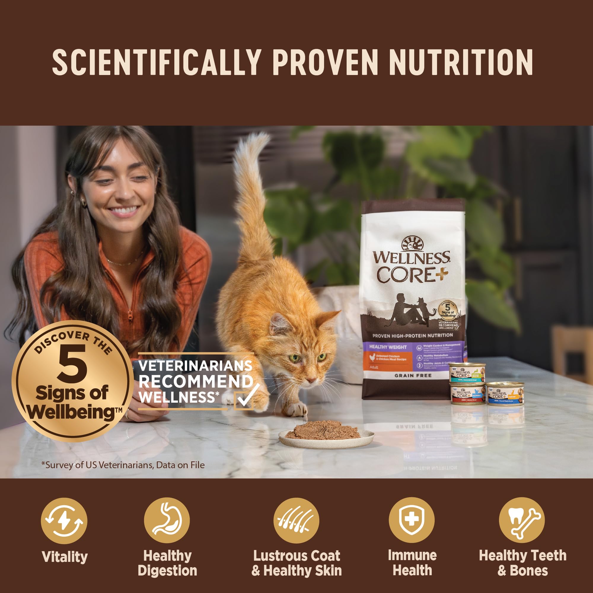 Wellness CORE+ Hairball paté de pollo, dieta sin granos para gatos adultos