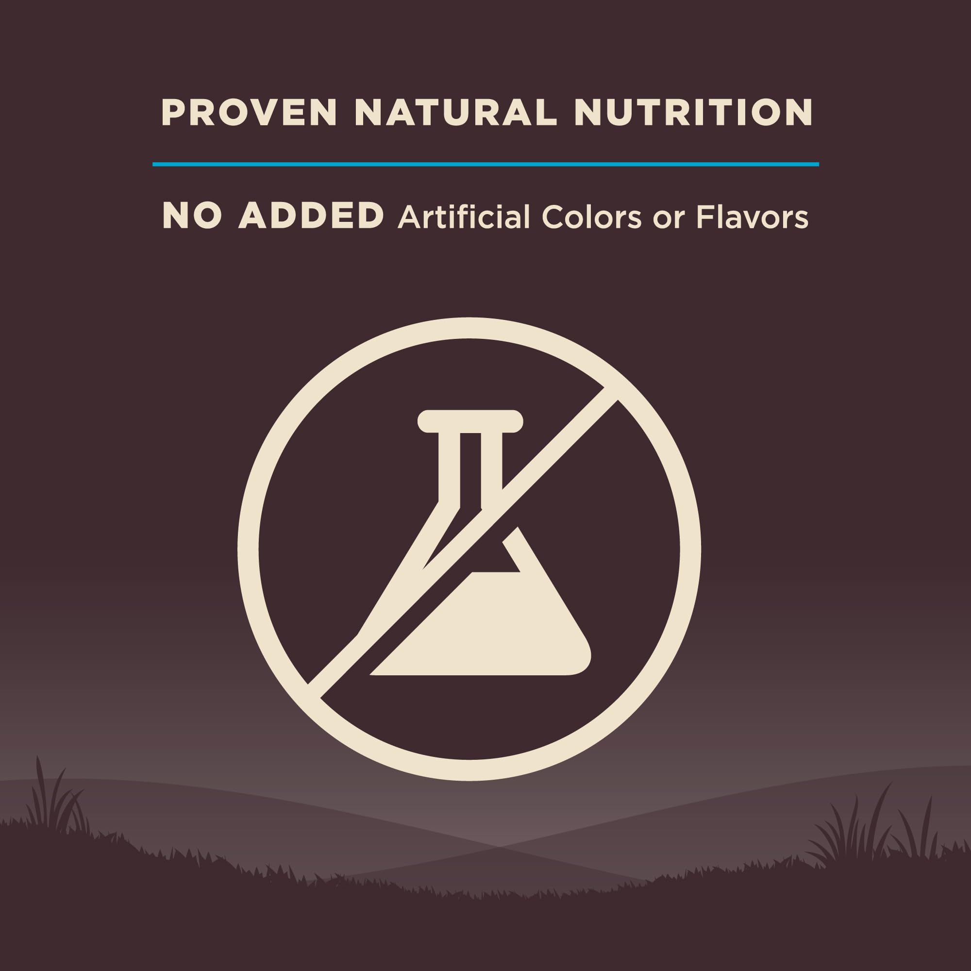 Wellness Core elaborado en Estados Unidos con ingredientes naturales