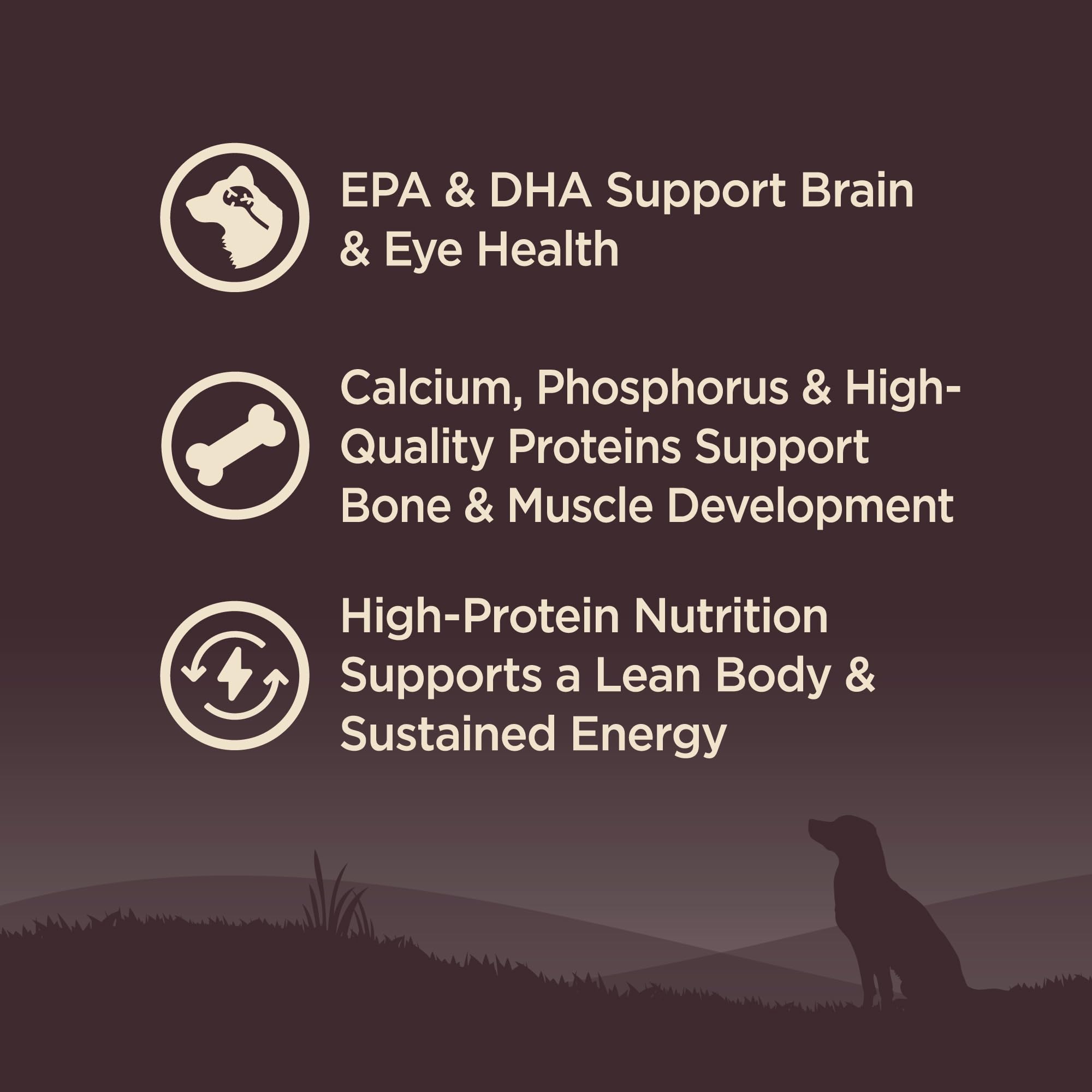 Wellness CORE: omega-3 y omega-6 para piel y pelaje saludables.