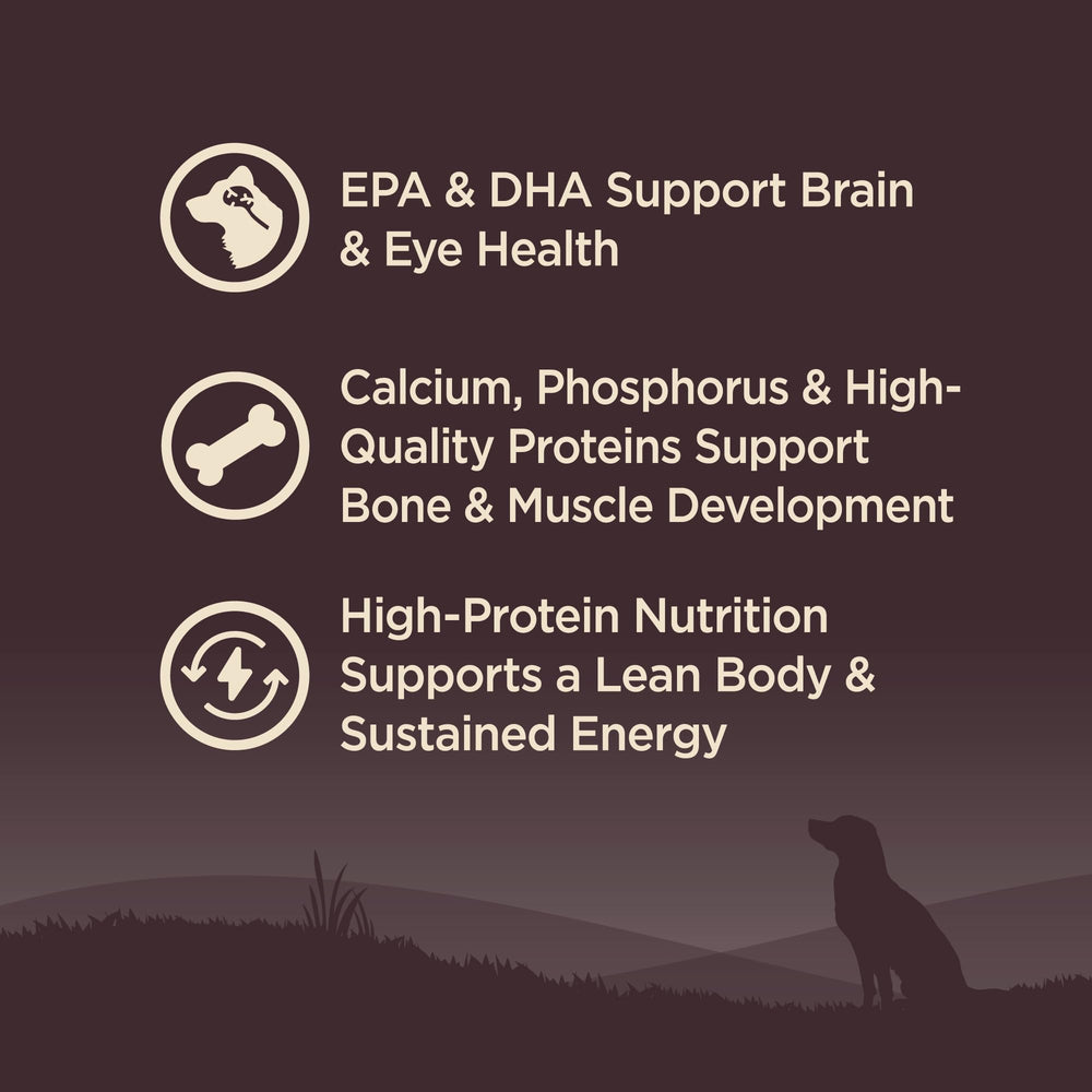 Wellness CORE: omega-3 y omega-6 para piel y pelaje saludables.