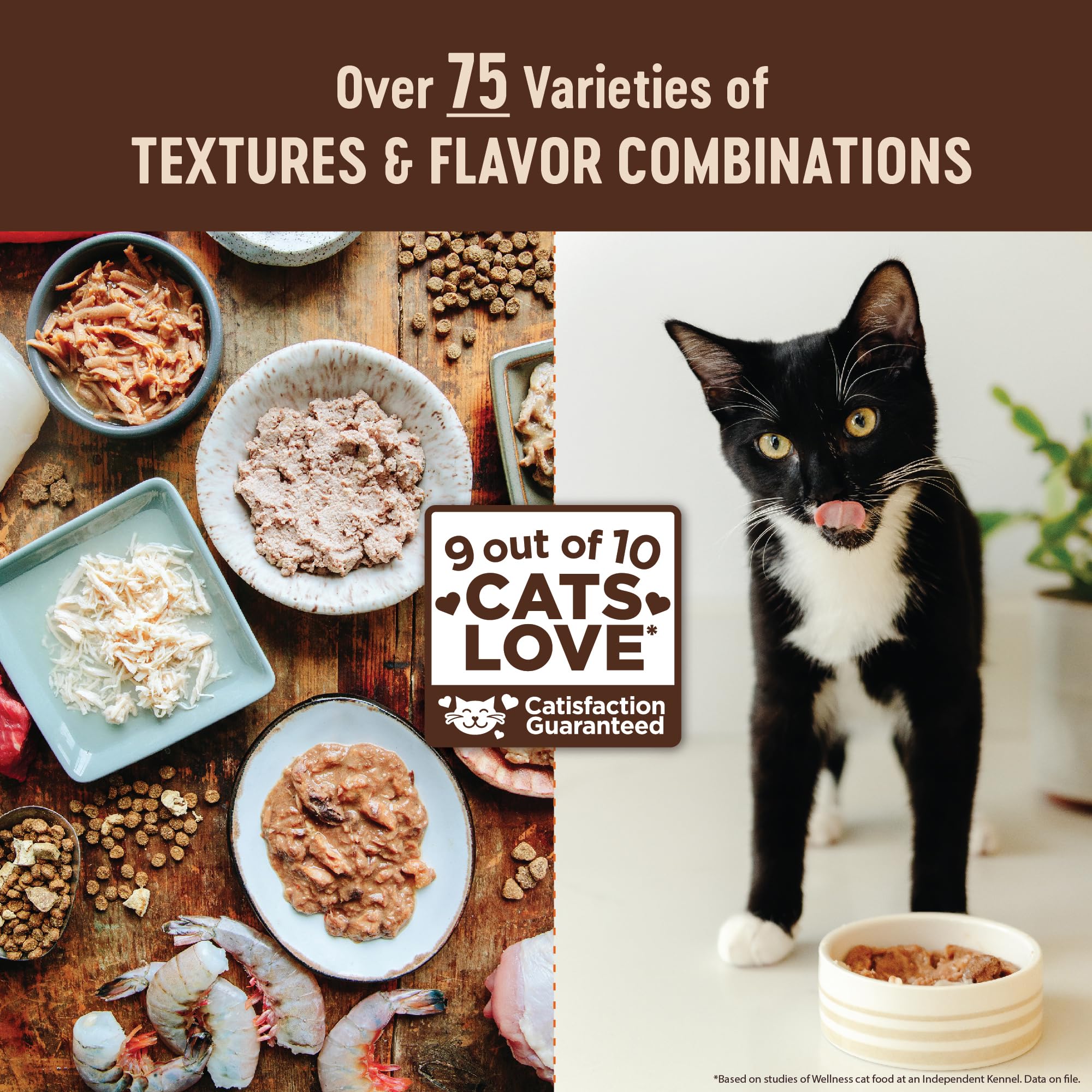 Wellness CORE paté para gatos, nutrición completa creada por especialistas.