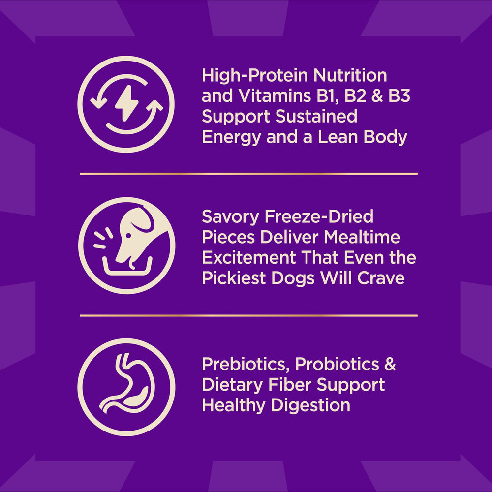 Wellness CORE+ cuidado de piel y pelaje con ácidos omega.